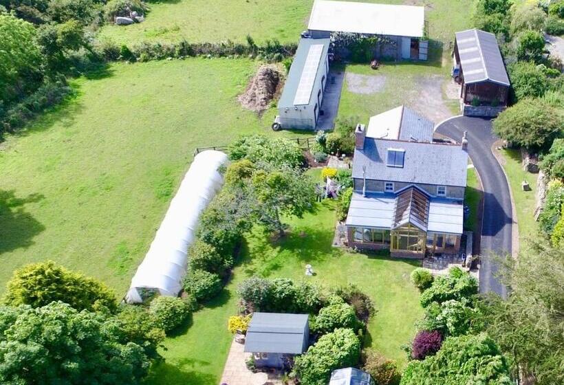 住宿加早餐  Lower Crankan Farm