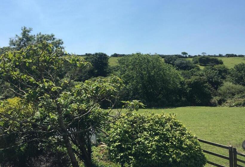 住宿加早餐  Lower Crankan Farm