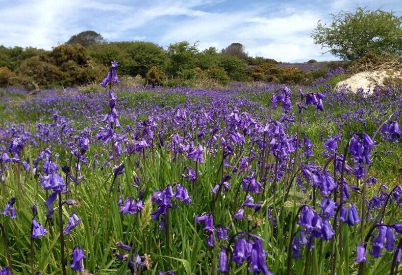 住宿加早餐  Lower Crankan Farm