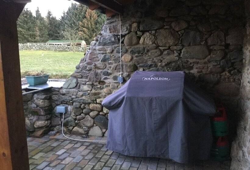 Castleview Newton Steading