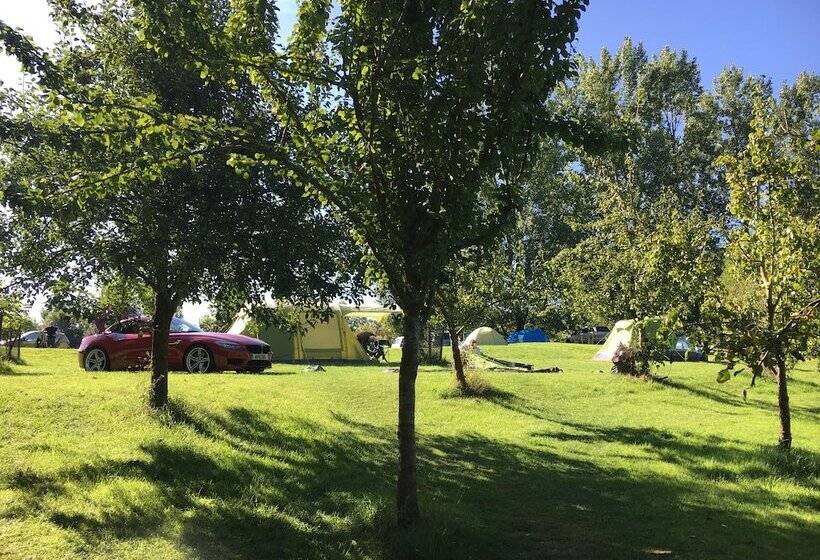 Cotswolds Camping At Holycombe