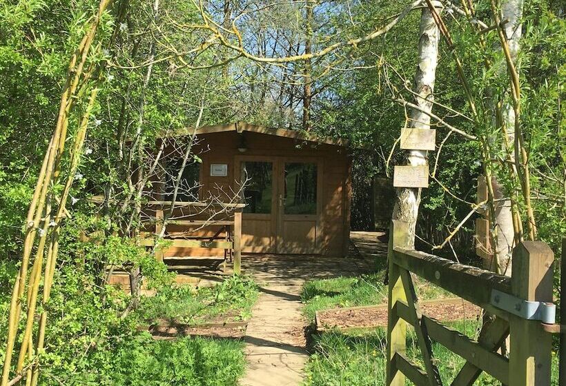 Cotswolds Camping At Holycombe