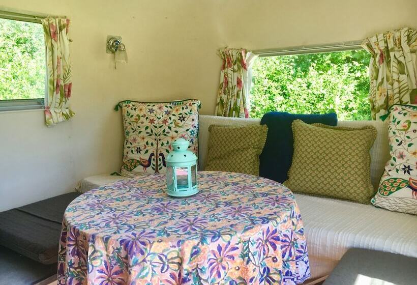 Cotswolds Camping At Holycombe