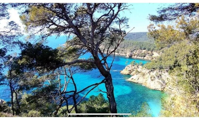 Dream House & Spa Bandol  Céline Et Olivier