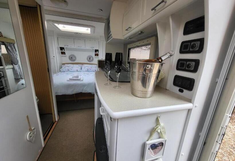 בית מלון כפרי Glamping With Llamas