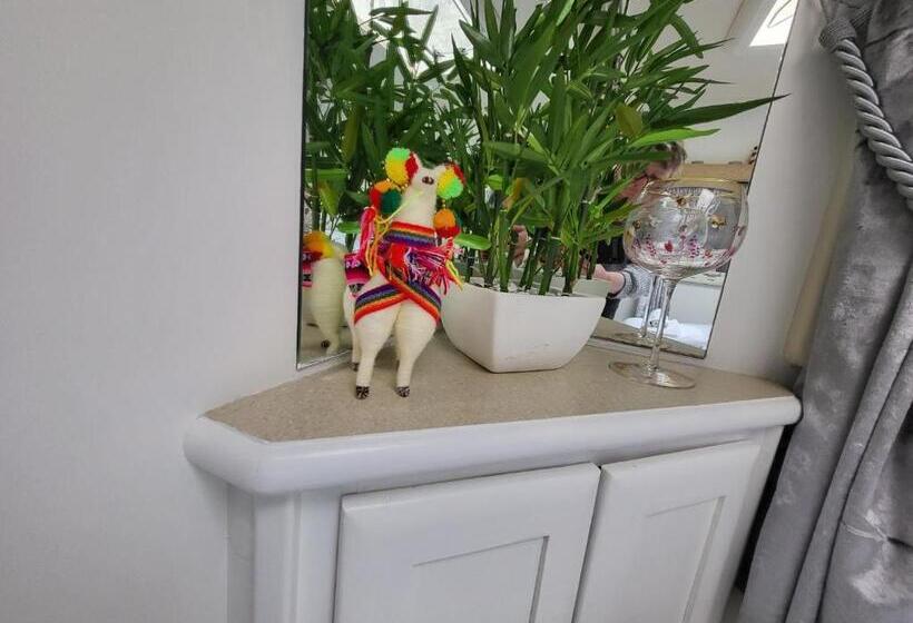 בית מלון כפרי Glamping With Llamas