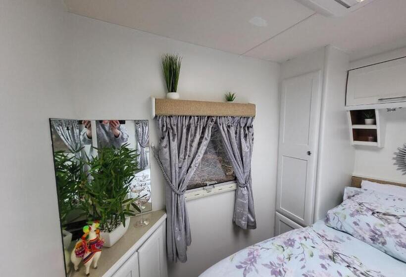 בית מלון כפרי Glamping With Llamas