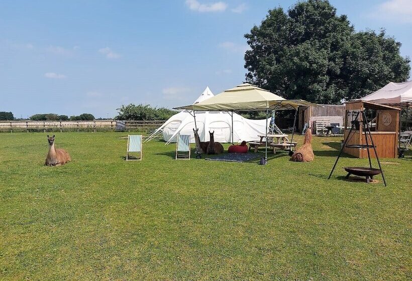 בית מלון כפרי Glamping With Llamas