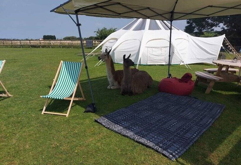 בית מלון כפרי Glamping With Llamas