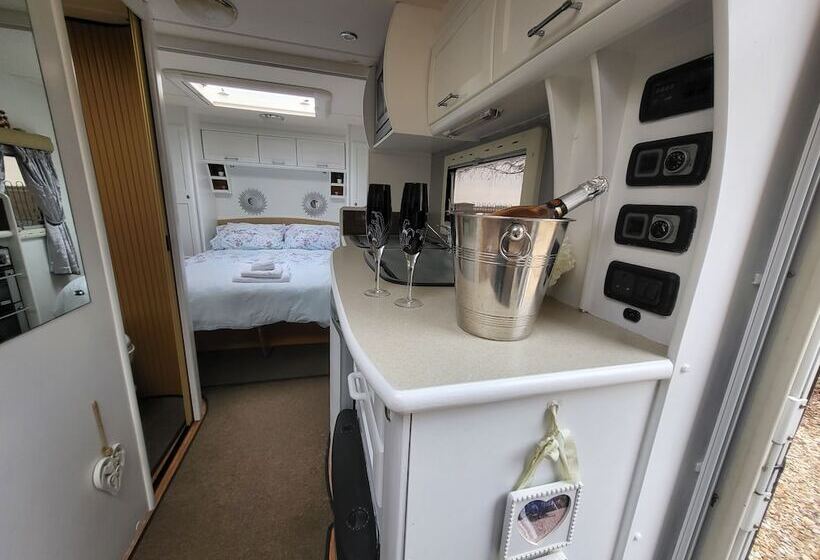 בית מלון כפרי Glamping With Llamas