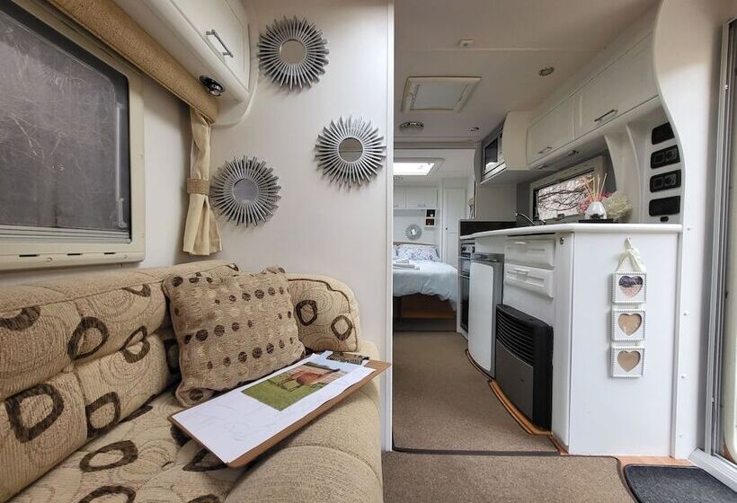 בית מלון כפרי Glamping With Llamas