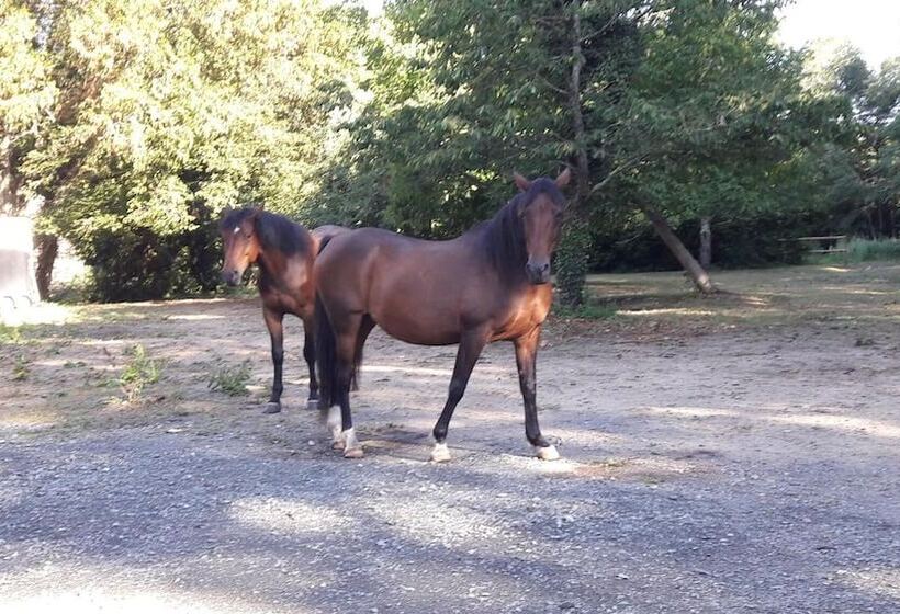 Пансион Le Petit Plessis