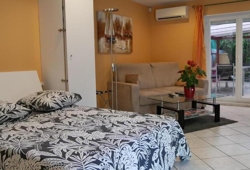 Пансион Villa Seignemartin