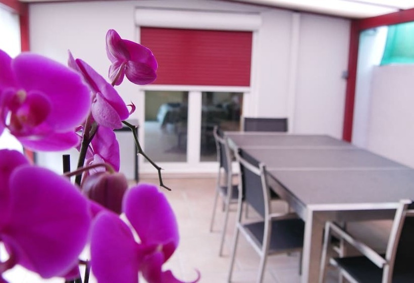 Пансион Villa Seignemartin