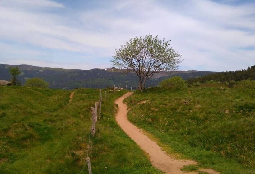 דירת נופש Vvf Alsace Orbey Colmar