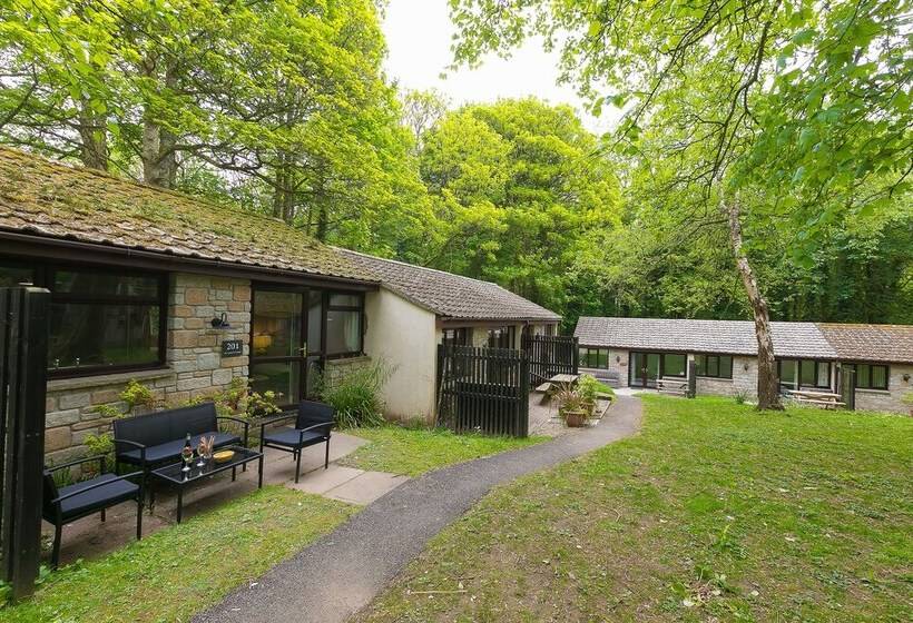 The Artist S Cottage Near St. Ives