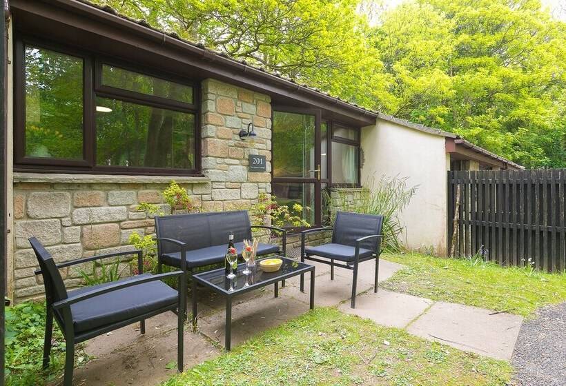 The Artist S Cottage Near St. Ives