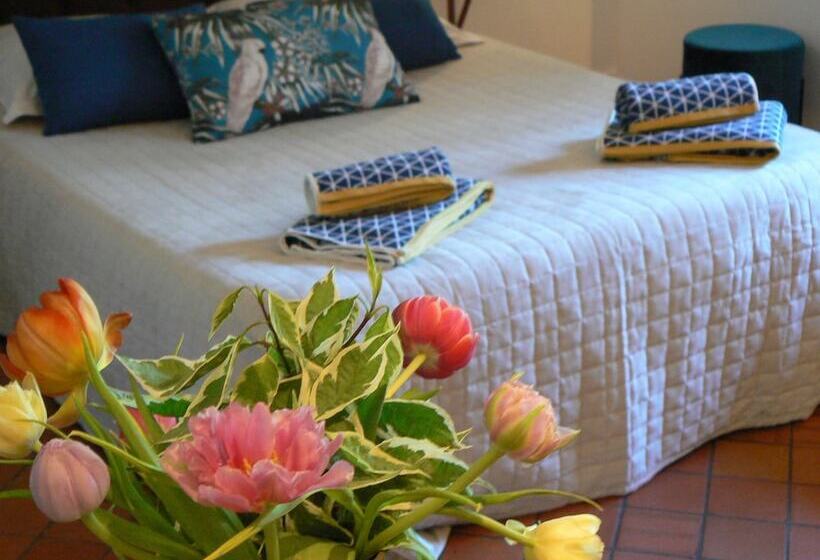 Appart Louis Blanc Centre Ville