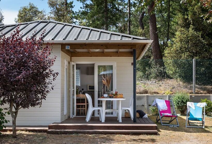 فندق Camping Domaine Des Salins