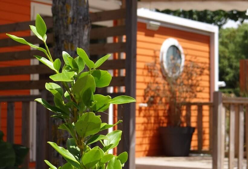 فندق Camping Le Bois Verdon