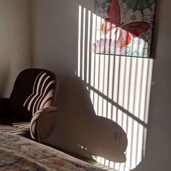 膳宿费 Florida Villa