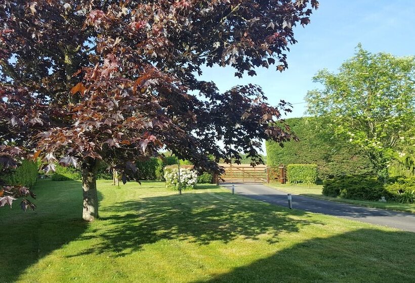 بنسيون L Horizon Holiday Apartment