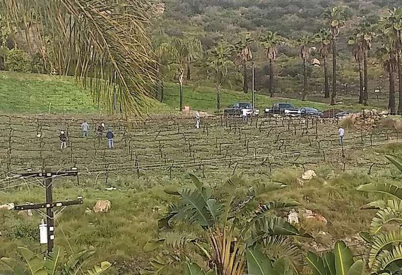 Sunshine Mountain Bed And Breakfast