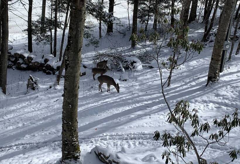 Unforgettable Dreams