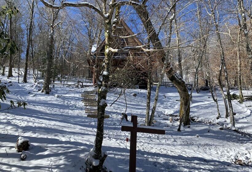 Unforgettable Dreams