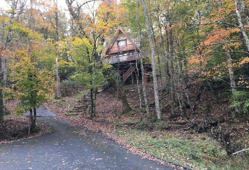 Unforgettable Dreams