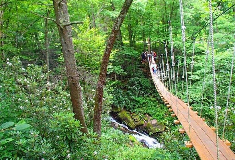 Unforgettable Dreams