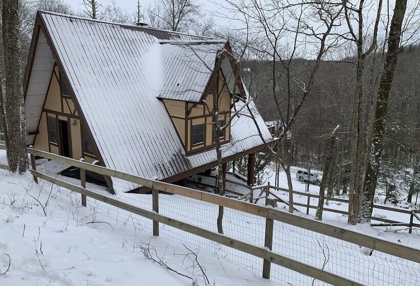 Unforgettable Dreams