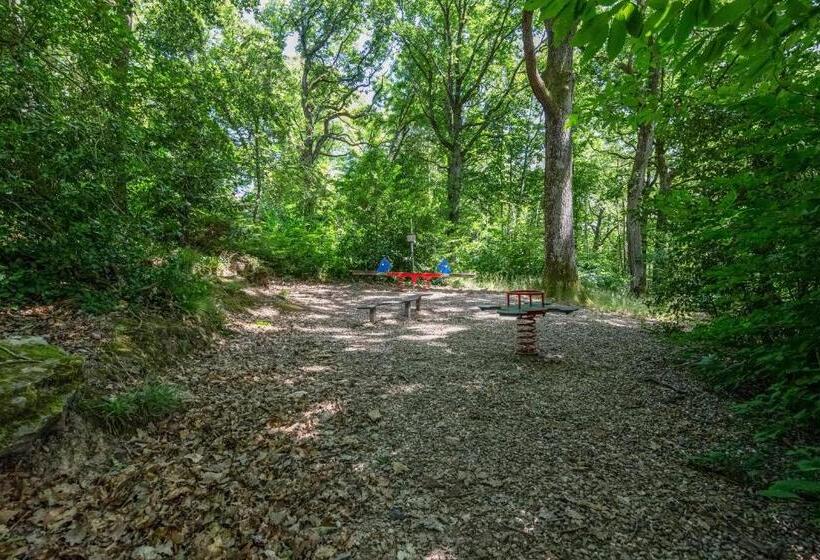 Wellholidays 19   Studio Balnéo Et Terrasse Piscine