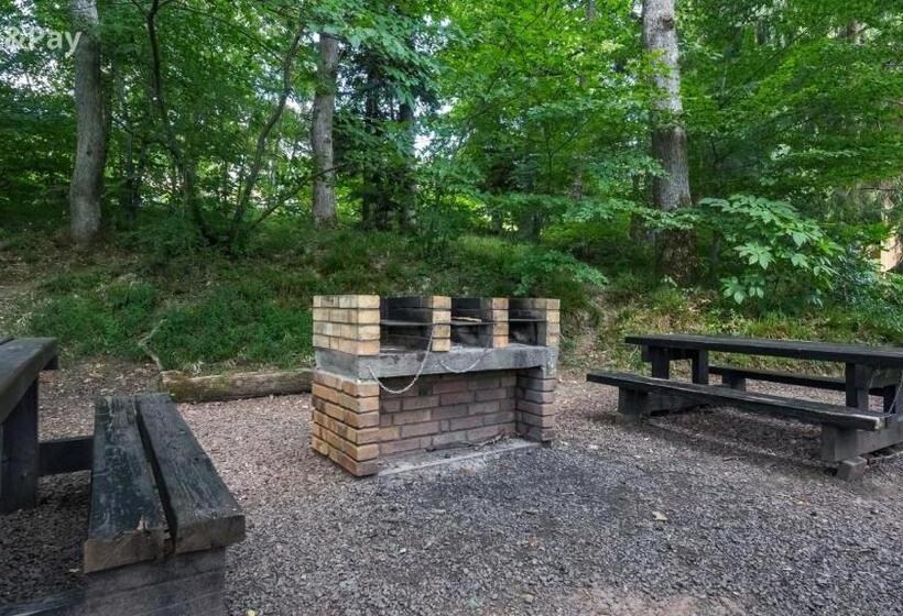 Wellholidays 19   Studio Balnéo Et Terrasse Piscine