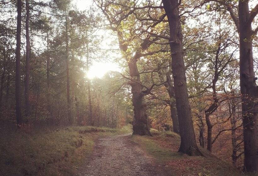 Wensleydale Glamping Pods