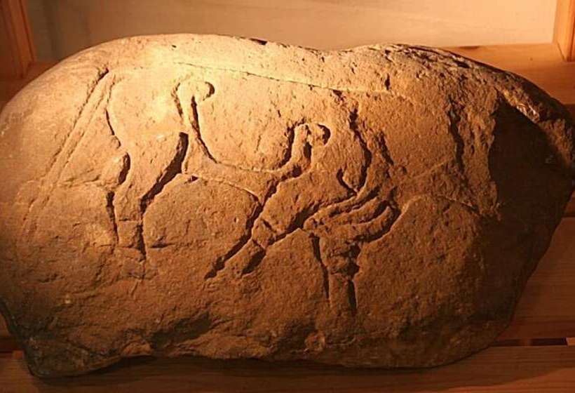 Carden Holiday Cottages