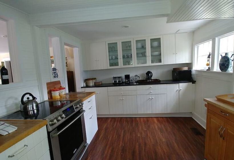 Historical Downtown Home