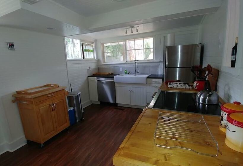 Historical Downtown Home