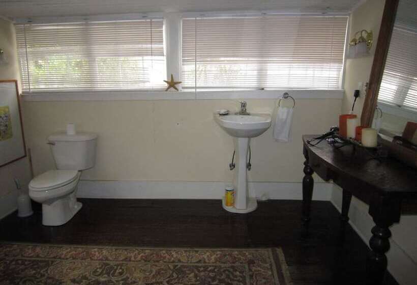 Historical Downtown Home