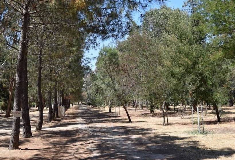 فندق Camping Paradella