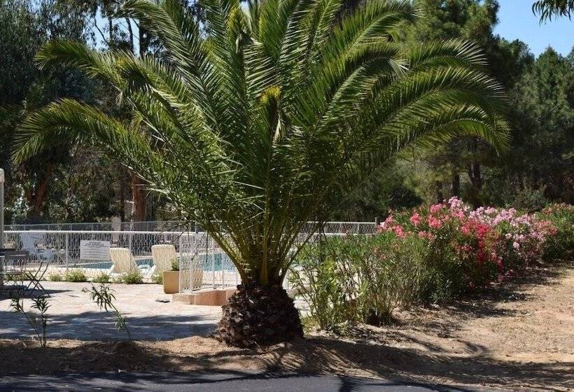 فندق Camping Paradella