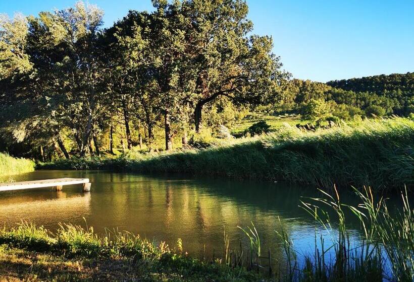 La Bastide Du Capelier   Chambre D Hôtes