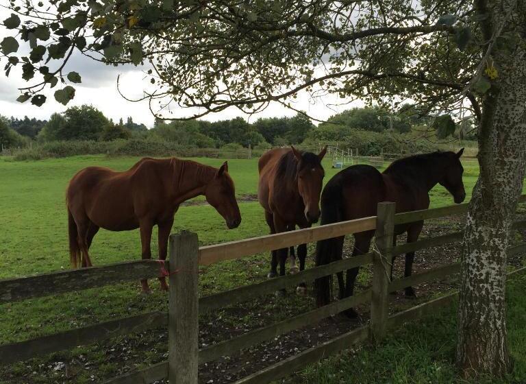 膳宿费 Cozy Place