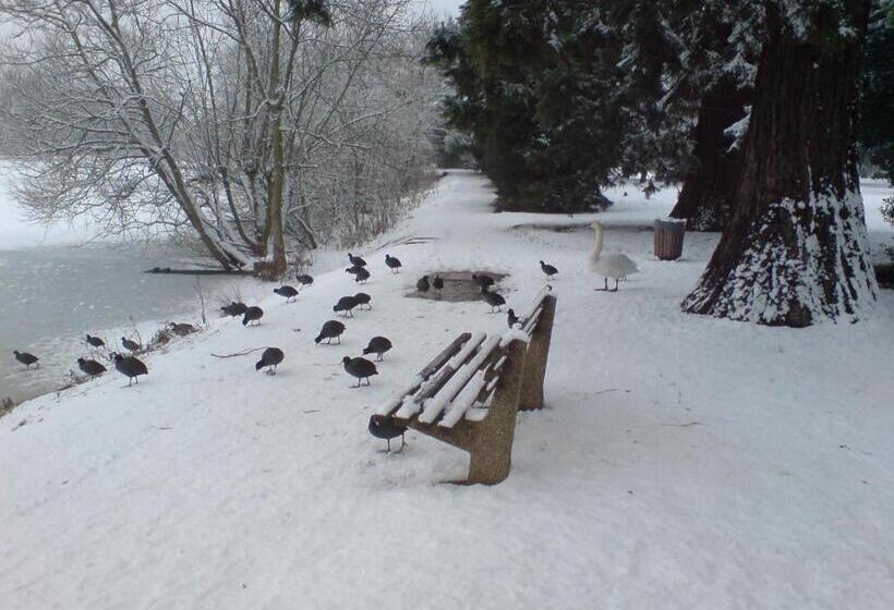 膳宿费 Cozy Place