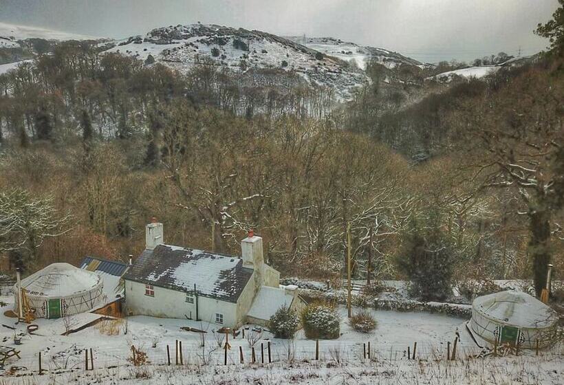 Hapus Yurt   Two Beautiful Yurts And Barn Cottage