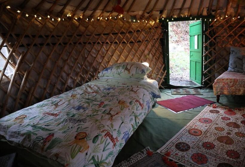 Hapus Yurt   Two Beautiful Yurts And Barn Cottage