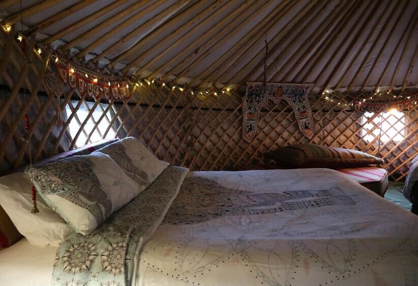 Hapus Yurt   Two Beautiful Yurts And Barn Cottage