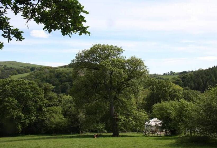 Hapus Yurt   Two Beautiful Yurts And Barn Cottage