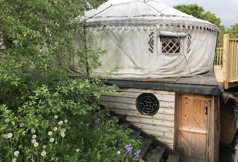 Hapus Yurt   Two Beautiful Yurts And Barn Cottage