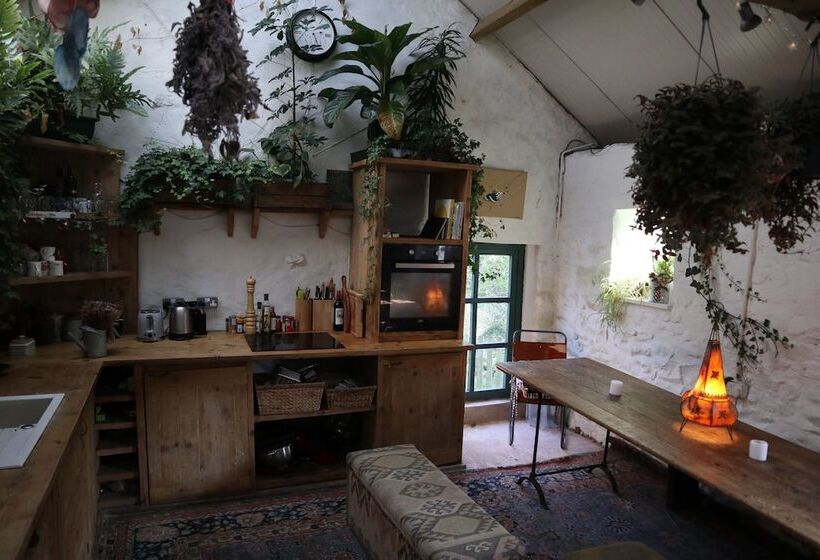 Hapus Yurt   Two Beautiful Yurts And Barn Cottage